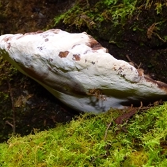 Unverified at suppressed - suppressed