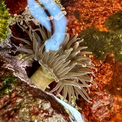 Unverified at suppressed - suppressed