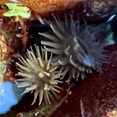 Unverified at suppressed - suppressed