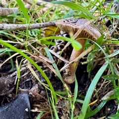 Unverified at suppressed - suppressed