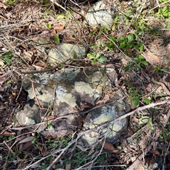 Unverified at suppressed - suppressed