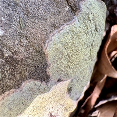 Unverified at suppressed - suppressed