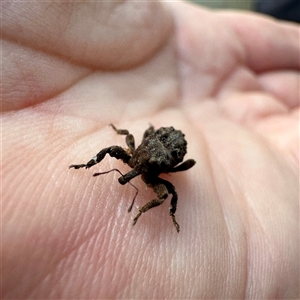 Unverified at suppressed - suppressed