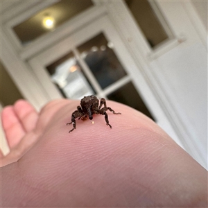 Unverified at suppressed - suppressed