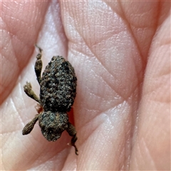 Unverified at suppressed - suppressed