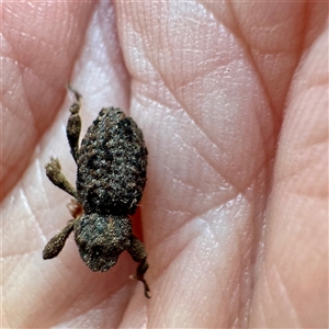 Unverified at suppressed - suppressed