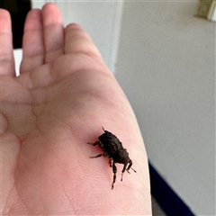 Unverified at suppressed - suppressed