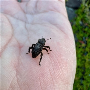 Unverified at suppressed - suppressed