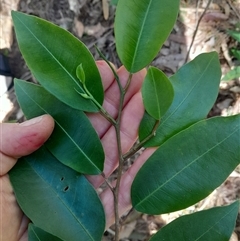 Unverified at suppressed - suppressed