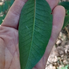 Unverified at suppressed - suppressed