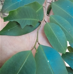 Unverified at suppressed - suppressed