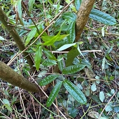 Unverified at suppressed - suppressed