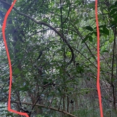 Unverified at suppressed - suppressed