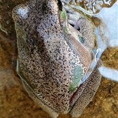 Unverified at suppressed - suppressed