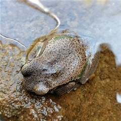 Unverified at suppressed - suppressed