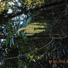 Unverified at suppressed - suppressed