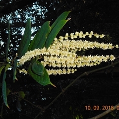 Unverified at suppressed - suppressed