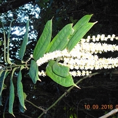 Unverified at suppressed - suppressed