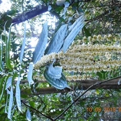 Unverified at suppressed - suppressed