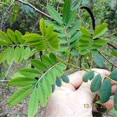 Unverified at suppressed - suppressed