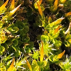 Unverified at suppressed - suppressed