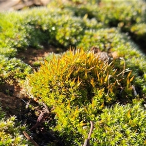 Unverified at suppressed - suppressed