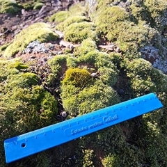 Unverified at suppressed - suppressed