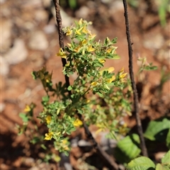 Unverified at suppressed - suppressed