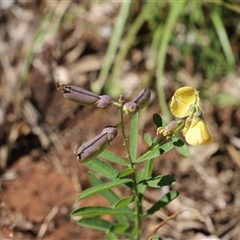 Unverified at suppressed - suppressed