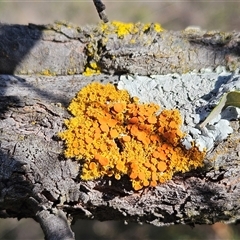 Unverified at suppressed - suppressed