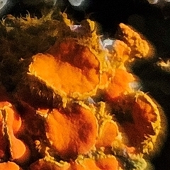 Unverified at suppressed - suppressed