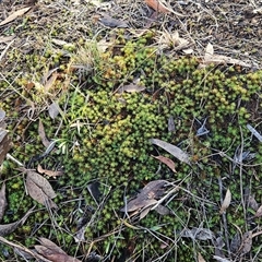 Unverified at suppressed - suppressed