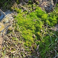 Unverified at suppressed - suppressed