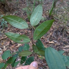 Unverified at suppressed - suppressed