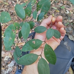 Unverified at suppressed - suppressed