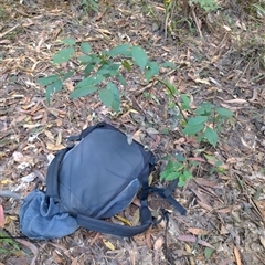 Unverified at suppressed - suppressed