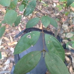 Unverified at suppressed - suppressed