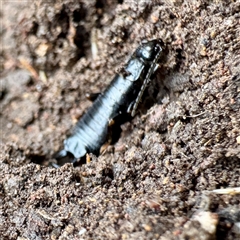 Unverified at suppressed - suppressed