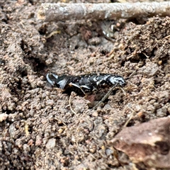 Unverified at suppressed - suppressed