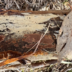 Unverified at suppressed - suppressed