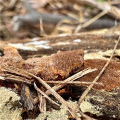 Unverified at suppressed - suppressed