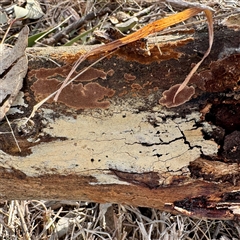 Unverified at suppressed - suppressed