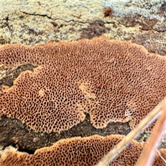 Unverified at suppressed - suppressed