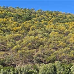 Unverified at suppressed - suppressed