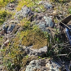 Unverified at suppressed - suppressed