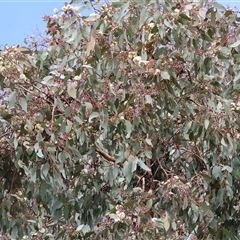 Unverified at suppressed - suppressed