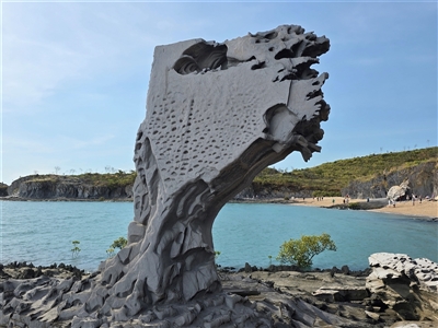 Unverified Fossil / Geological Feature at Undefined - 17 Jul 2025 by Mike