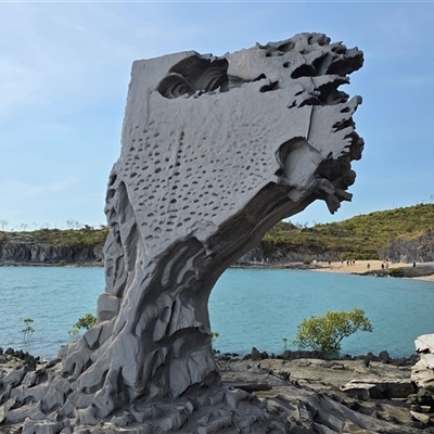 Unverified Fossil / Geological Feature at Undefined - 17 Jul 2025 by Mike