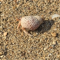 Unverified at suppressed - suppressed