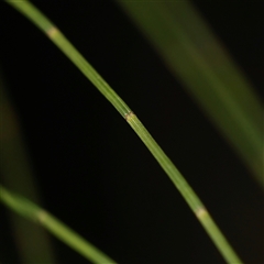 Unverified at suppressed - suppressed